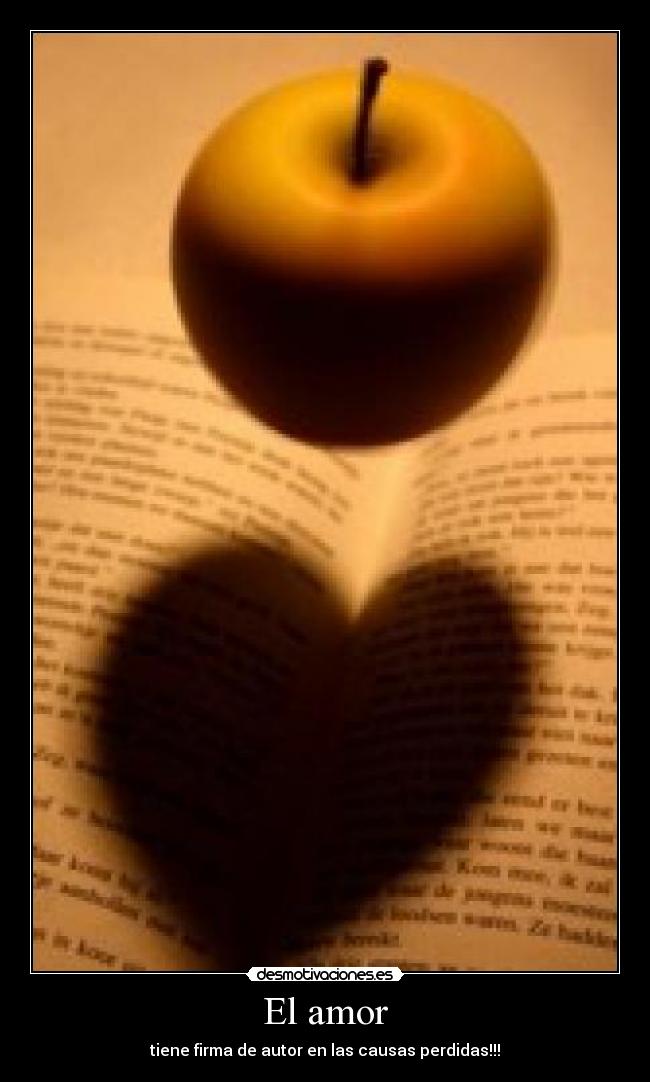 El amor -