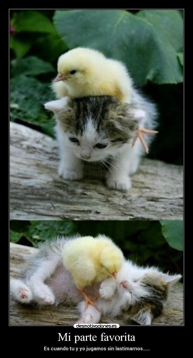 Mi parte favorita - Es cuando tu y yo jugamos sin lastimarnos......