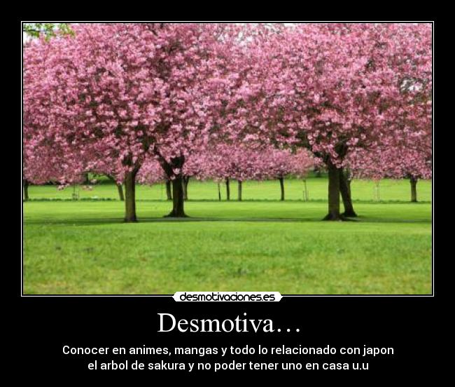 Desmotiva… - Conocer en animes, mangas y todo lo relacionado con japon
el arbol de sakura y no poder tener uno en casa u.u