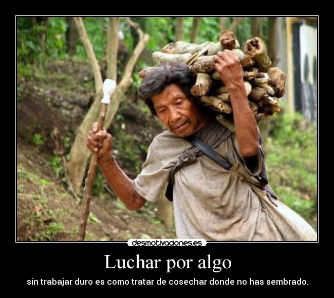 Luchar por algo - sin trabajar duro es como tratar de cosechar donde no has sembrado.