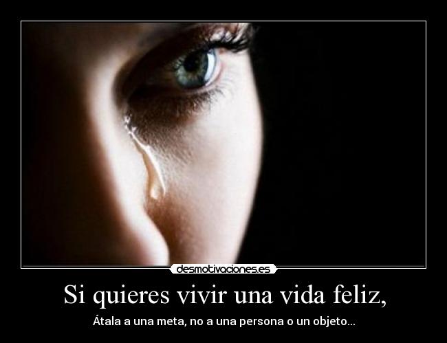 carteles vida sebastian gutierrez desmotivaciones