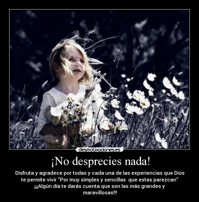 ¡No desprecies nada! - Disfruta y agradece por todas y cada una de las experiencias que Dios
te permite vivir Por muy simples y sencillas que estas parezcan
¡¡¡Algún día te darás cuenta que son las más grandes y
maravillosas!!!