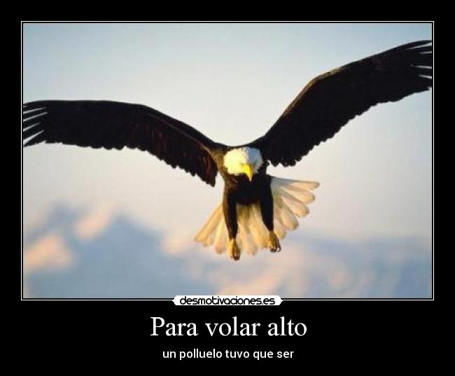 carteles merry desmotivaciones