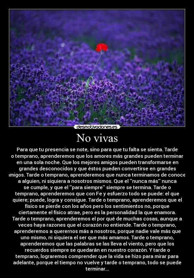 No vivas - Para que tu presencia se note, sino para que tu falta se sienta. Tarde
o temprano, aprenderemos que los amores más grandes pueden terminar
en una sola noche. Que los mejores amigos pueden transformarse en
grandes desconocidos y que éstos pueden convertirse en grandes
amigos. Tarde o temprano, aprenderemos que nunca terminamos de conocer
a alguien, ni siquiera a nosotros mismos. Que el nunca más nunca
se cumple, y que el para siempre siempre se termina. Tarde o
temprano, aprenderemos que con Fe y esfuerzo todo se puede: el que
quiere; puede, logra y consigue. Tarde o temprano, aprenderemos que el
físico se pierde con los años pero los sentimientos no, porque
ciertamente el físico atrae, pero es la personalidad la que enamora.
Tarde o temprano, aprenderemos el por qué de muchas cosas, aunque a
veces haya razones que el corazón no entiende. Tarde o temprano,
aprenderemos a querernos más a nosotros, porque nadie vale más que
uno mismo, ni siquiera el ser que más amamos. Tarde o temprano,
aprenderemos que las palabras se las lleva el viento, pero que los
recuerdos siempre se quedarán en nuestro corazón. Y tarde o
temprano, lograremos comprender que la vida se hizo para mirar para
adelante, porque el tiempo no vuelve y tarde o temprano, todo se puede
terminar...