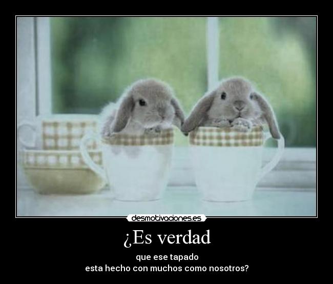 ¿Es verdad - que ese tapado
esta hecho con muchos como nosotros?