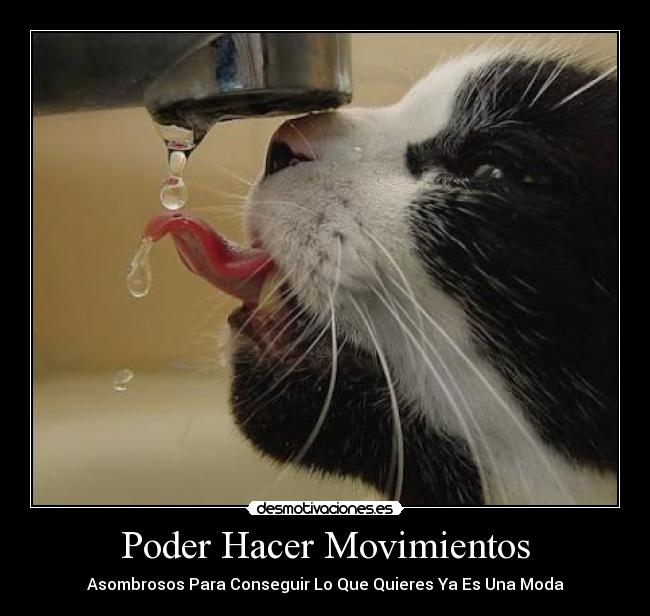 Poder Hacer Movimientos - Asombrosos Para Conseguir Lo Que Quieres Ya Es Una Moda