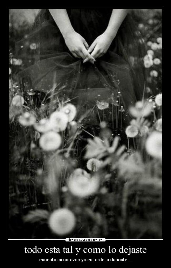 carteles danaste desmotivaciones