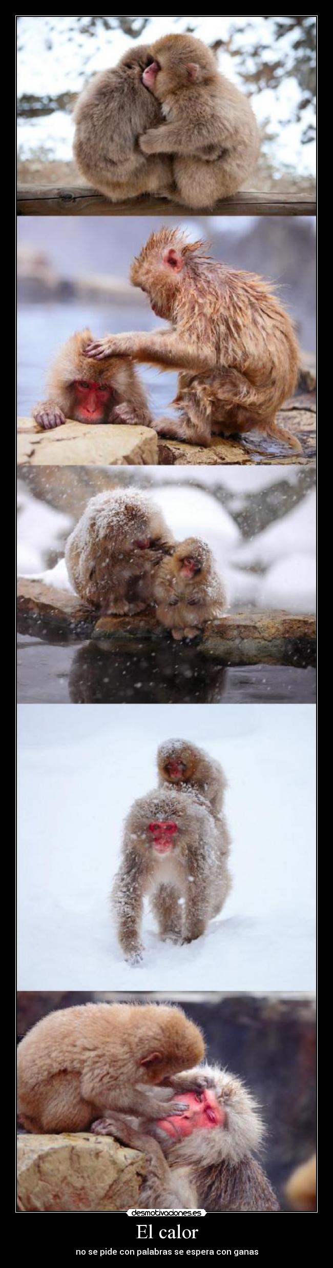El calor - no se pide con palabras se espera con ganas