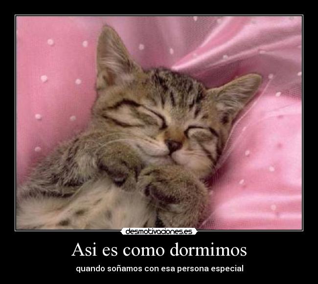 Asi es como dormimos - 