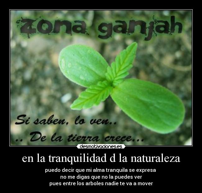 en la tranquilidad d la naturaleza - puedo decir que mi alma tranquila se expresa
no me digas que no la puedes ver
pues entre los arboles nadie te va a mover