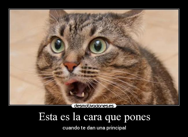 Esta es la cara que pones - cuando te dan una principal