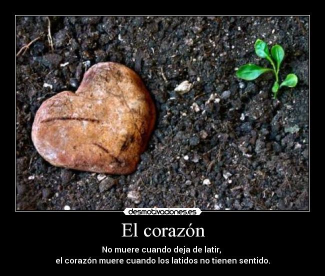 carteles corazon corazon roto desmotivaciones