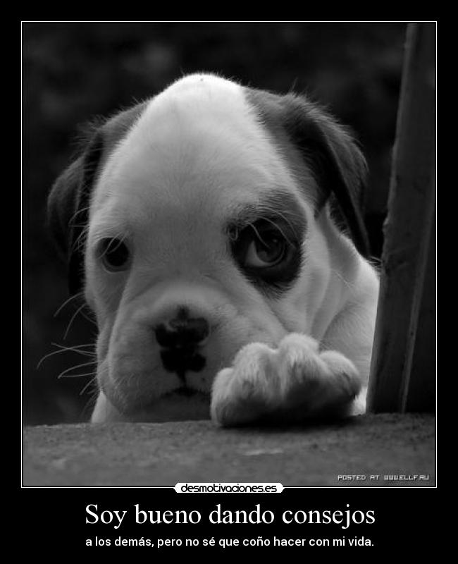 carteles vida desmotivaciones