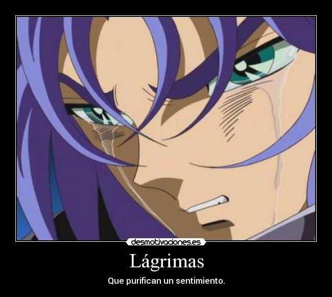 Lágrimas - Que purifican un sentimiento.