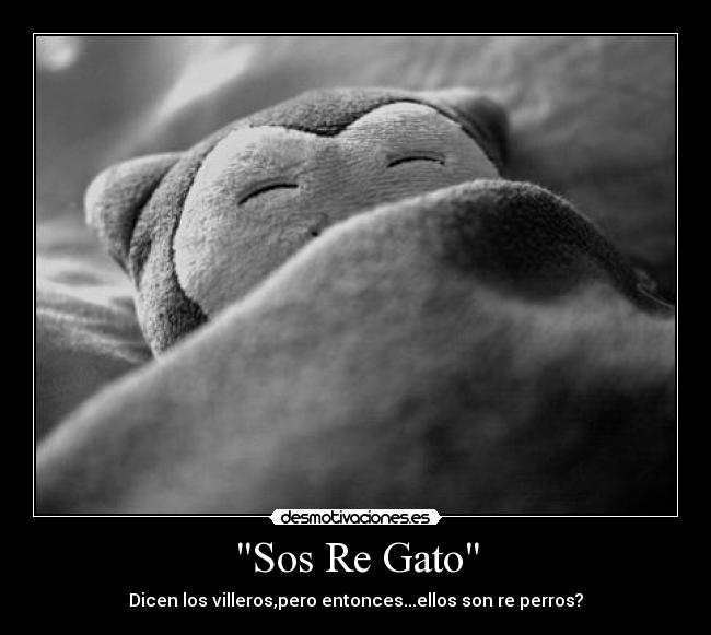 Sos Re Gato -