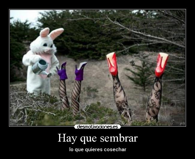 Hay que sembrar -