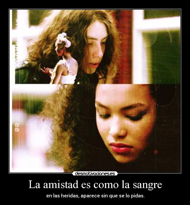 La amistad es como la sangre - 