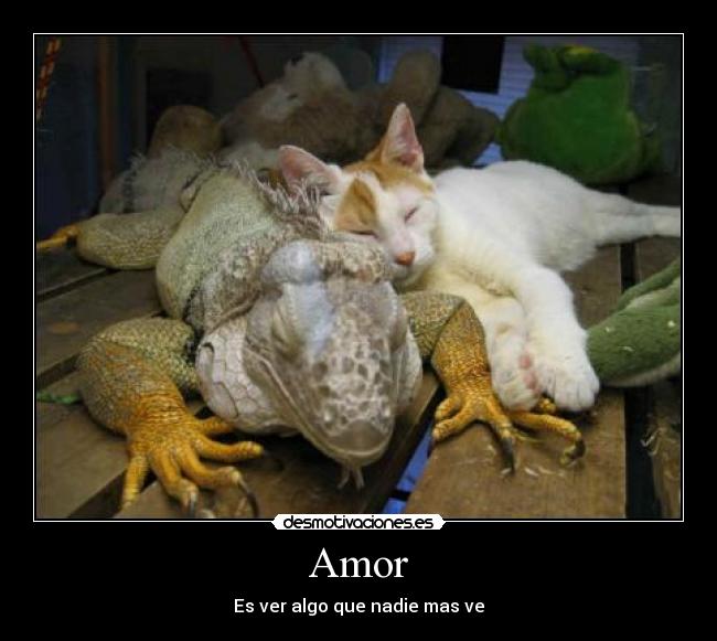 Amor - Es ver algo que nadie mas ve