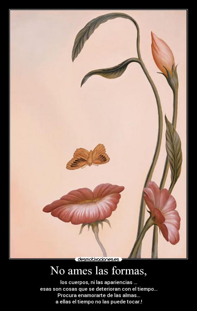 No ames las formas, - los cuerpos, ni las apariencias ...
esas son cosas que se deterioran con el tiempo...
Procura enamorarte de las almas...
a ellas el tiempo no las puede tocar.!