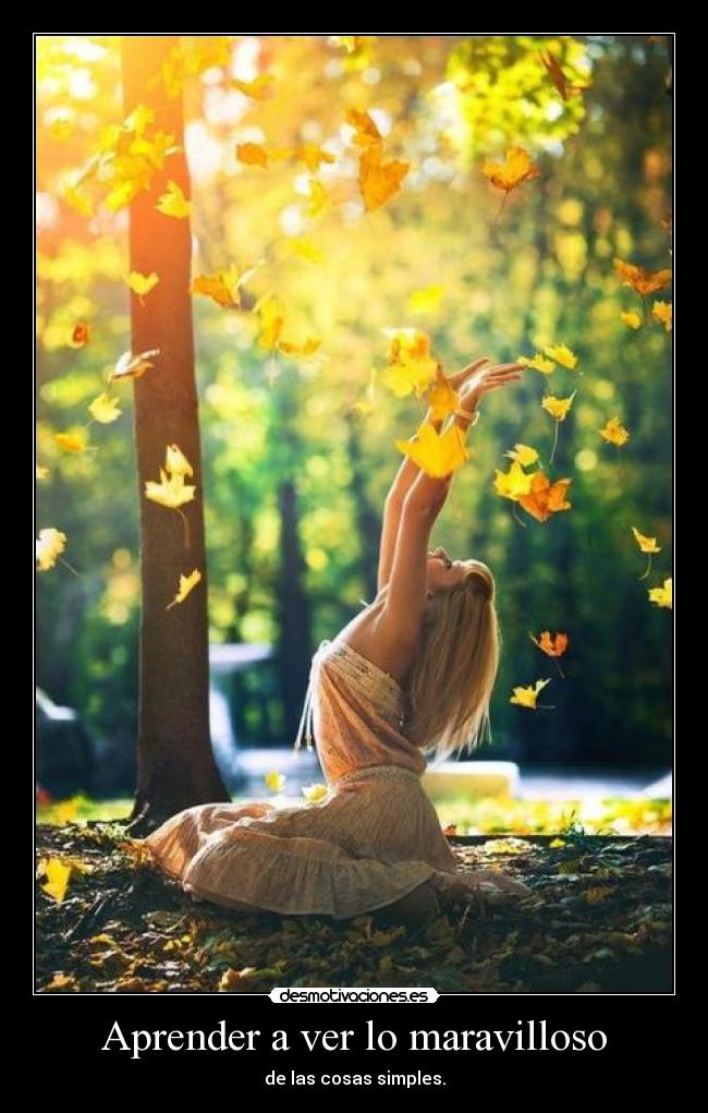 Aprender a ver lo maravilloso - 
