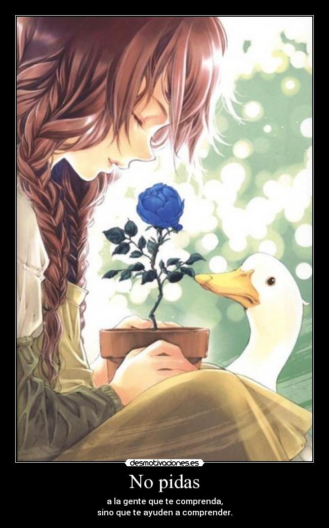No pidas -