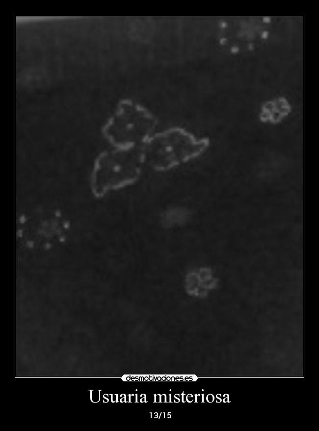Usuaria misteriosa -