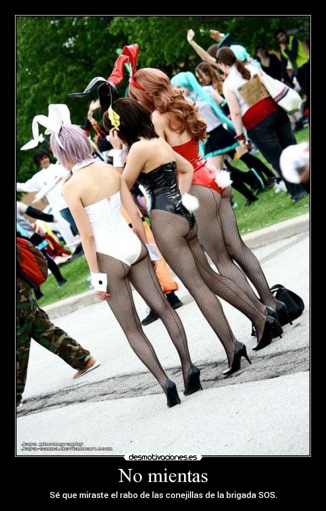 No mientas - Sé que miraste el rabo de las conejillas de la brigada SOS.