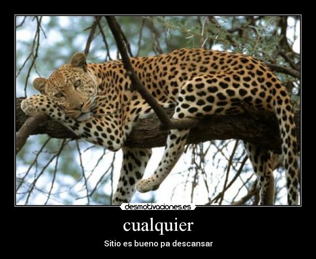 cualquier - Sitio es bueno pa descansar