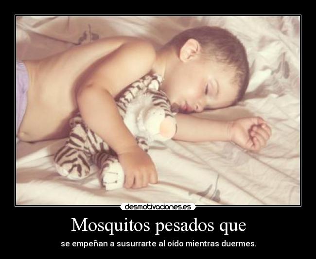 Mosquitos pesados que - se empeñan a susurrarte al oído mientras duermes.