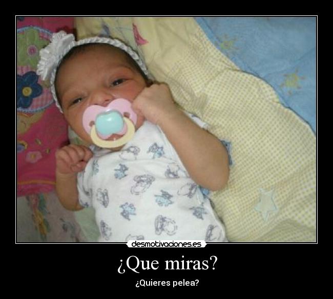 ¿Que miras? - ¿Quieres pelea?