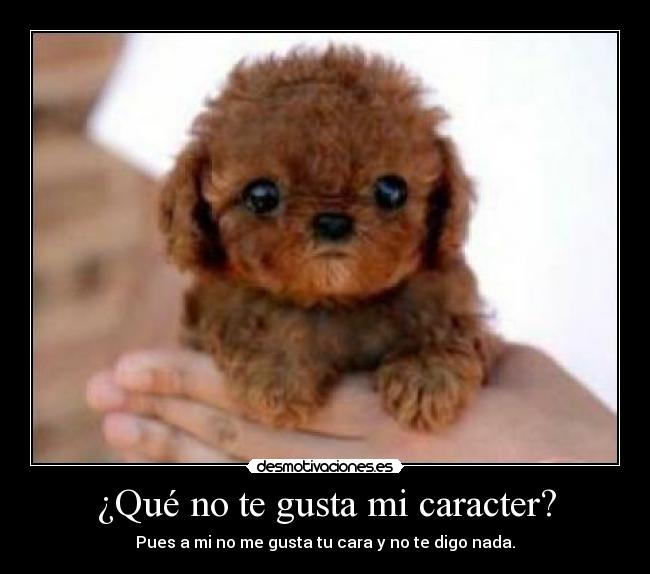 ¿Qué no te gusta mi caracter? - Pues a mi no me gusta tu cara y no te digo nada.