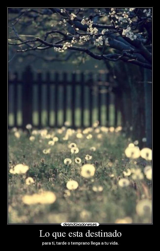 Lo que esta destinado - para ti, tarde o temprano llega a tu vida.