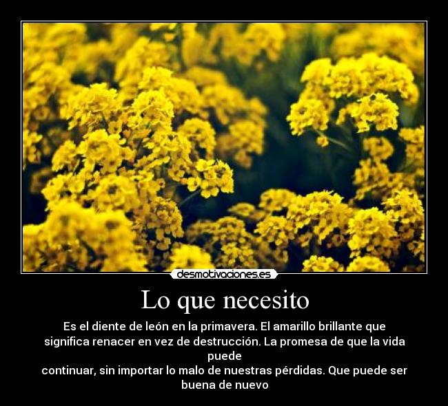 Lo que necesito - Es el diente de león en la primavera. El amarillo brillante que
significa renacer en vez de destrucción. La promesa de que la vida puede
continuar, sin importar lo malo de nuestras pérdidas. Que puede ser buena de nuevo