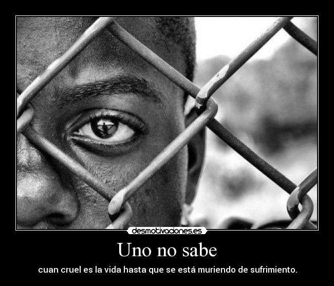Uno no sabe - cuan cruel es la vida hasta que se está muriendo de sufrimiento.