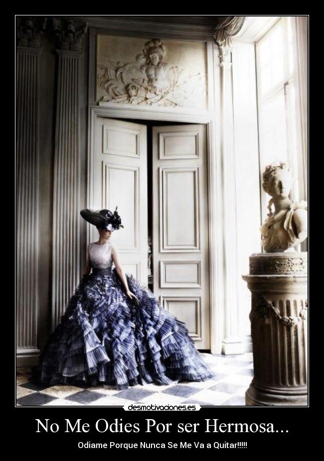 carteles belleza desmotivaciones