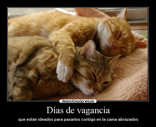 Días de vagancia -