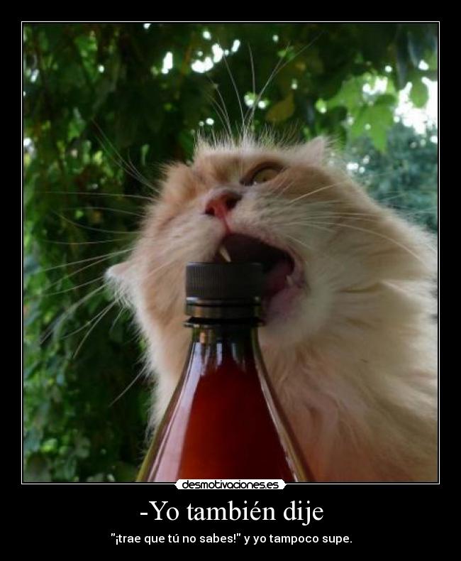 -Yo también dije - 