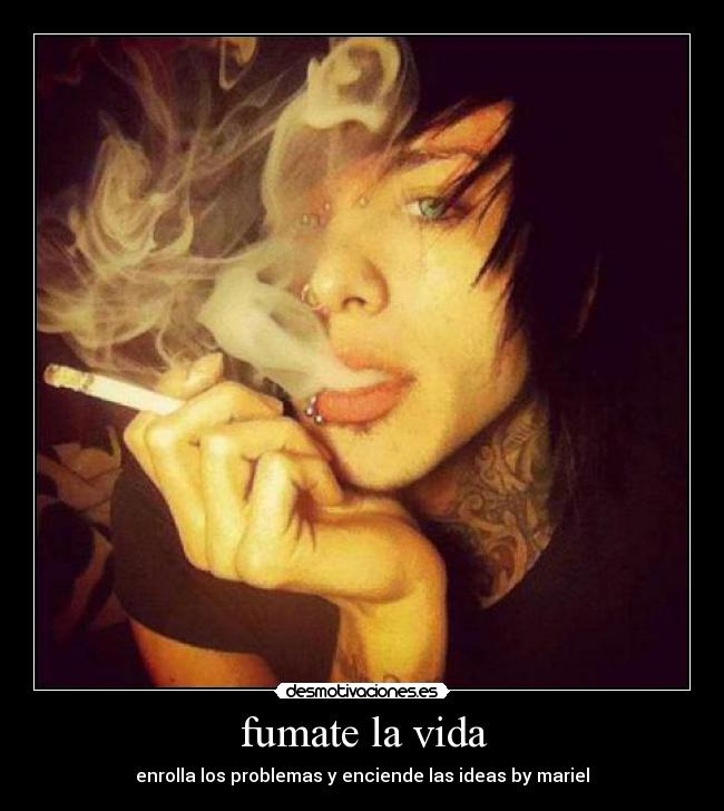 carteles vida senor las desmotivaciones desmotivaciones