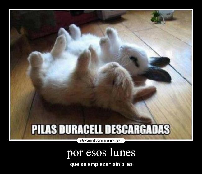 por esos lunes - 