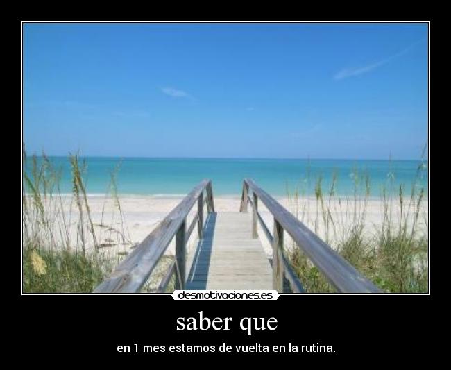 carteles lapeqe95 desmotivaciones