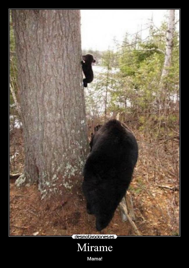 Mirame - Mama!