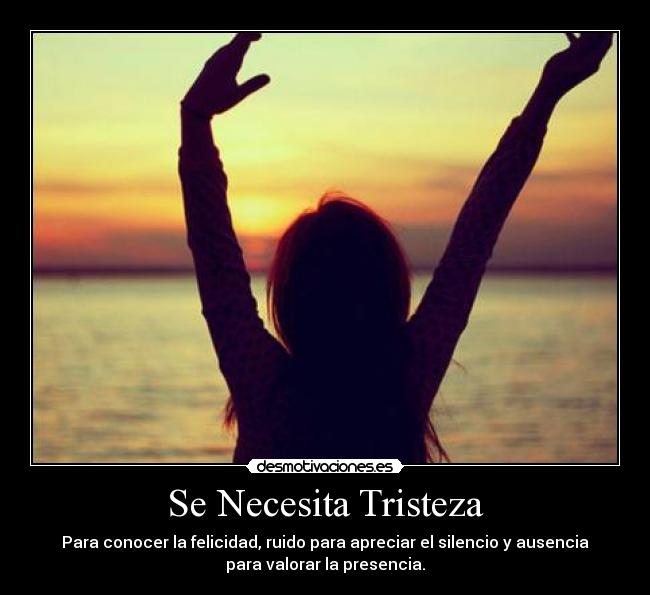 Se Necesita Tristeza - Para conocer la felicidad, ruido para apreciar el silencio y ausencia
para valorar la presencia.