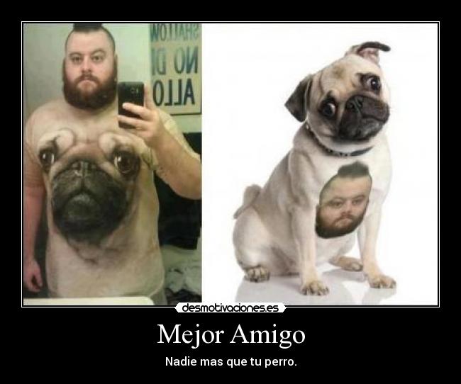 Mejor Amigo - Nadie mas que tu perro.
