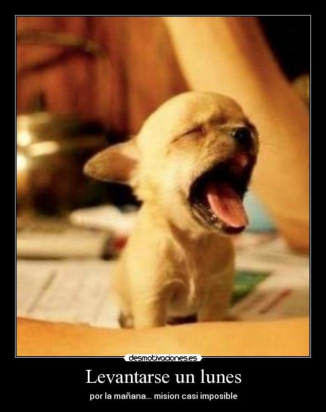 Levantarse un lunes - por la mañana... mision casi imposible