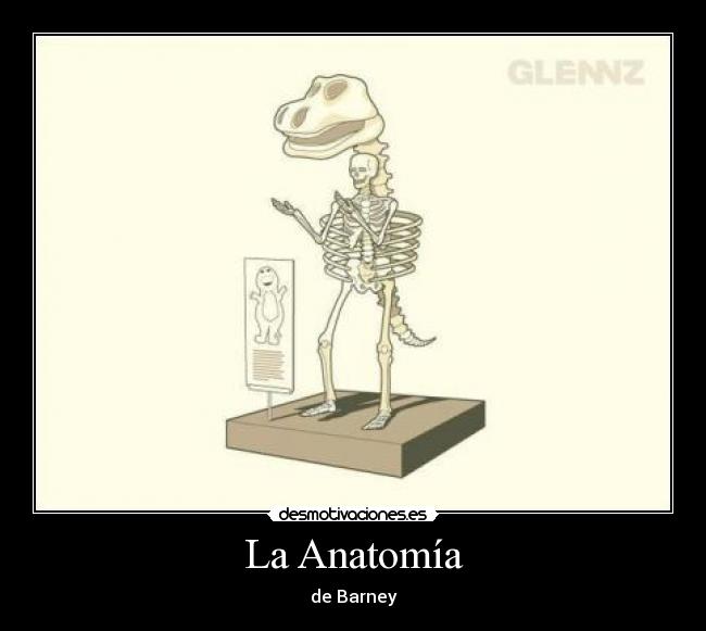 carteles anatomia barney desmotivaciones