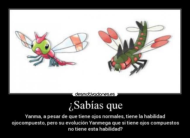 ¿Sabías que - Yanma, a pesar de que tiene ojos normales, tiene la habilidad
ojocompuesto, pero su evolución Yanmega que si tiene ojos compuestos
no tiene esta habilidad?