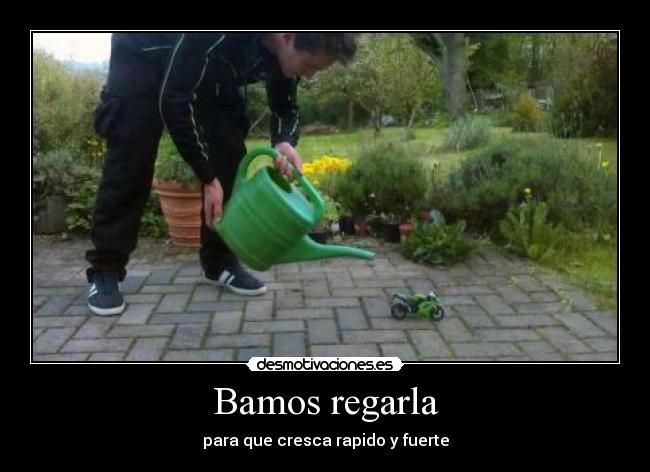 Bamos regarla - para que cresca rapido y fuerte