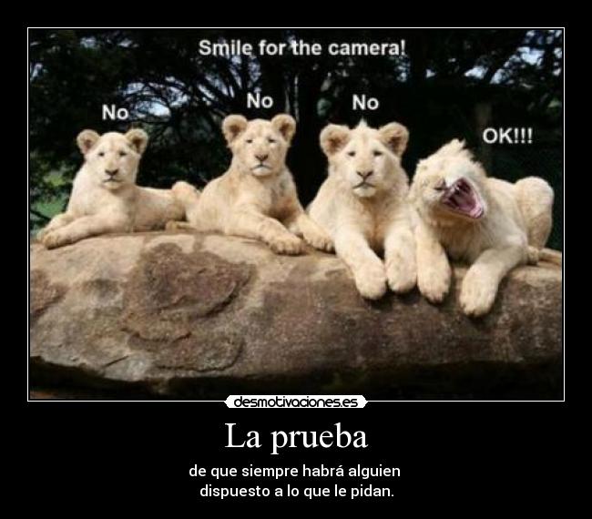 La prueba - de que siempre habrá alguien
dispuesto a lo que le pidan.