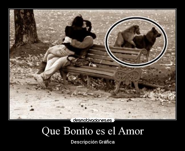 Que Bonito es el Amor - Descripción Gráfica