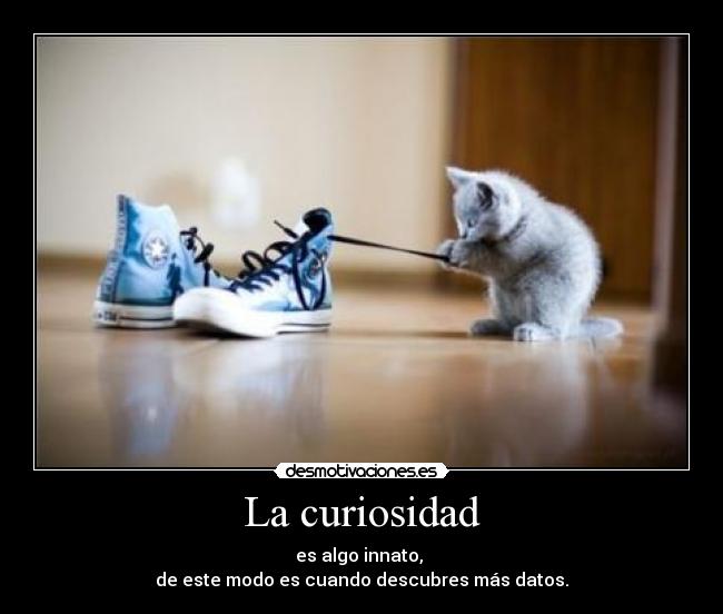 La curiosidad - 